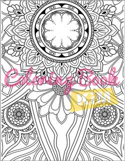 Mandala Coloring Book For Adults: A Quintessential Coloring Book For Stress  Relief And Relaxation (Paperback)