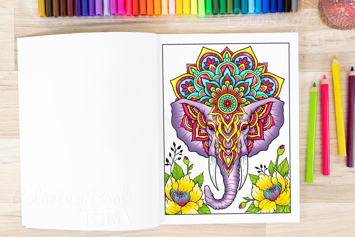 Stress Relief Coloring Book for Adults: Anxiety and Stress Relief